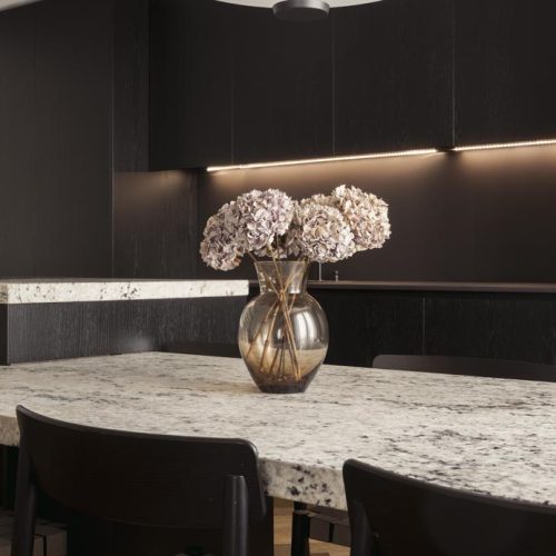 Dk Veiga Dani Carol Home 2024 Sesion -30